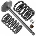 Caltric Intake Valve Kit Compatible With Honda Xr650l 1993 1994 1995 1996 1997-2009 2012 2013 2014 2015-2022