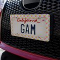 Bowls Of Lemons License Plate Tag Frame