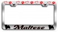 Maltese Dogs Pets Chrome Metal License Plate Frame Tag Holder For Cars Trucks And Suvs Universal Fit 12 5 In X 6 Heavy Duty 