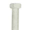 Alignment Cam Bolt Set For 1994 1995 1996 1997 Mercedes Benz C220 Camber Caster Adjustment Hexagonal Head Silver 4 7 In Length