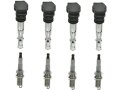 Ignition Coil And Spark Plug Kit 8 Piece For 2001 To 2005 Volkswagen Beetle L4 1 8l Turbo Includes Coils 4 Platinum Plugs 