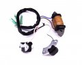 Boat Motor 69p-85541-09 Charge Coil And 61n-85543-09 61n-85543-19 Pulser For Yamaha C 25hp 30hp 2-stroke Outboard Engine E25b