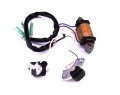Boat Motor 69p-85541-09 Charge Coil And 61n-85543-09 61n-85543-19 Pulser For Yamaha C 25hp 30hp 2-stroke Outboard Engine E25b