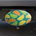 Citrus Lemon Lime Orange Slices Pattern Oval Tow Trailer Hitch Cover Plug Insert