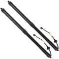 Tailgate 32136006 Power Lift Supports Struts Fit For Volvo Xc60 2019-2021
