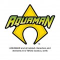 Graphics More Aquaman Logo Keychain Chrome Metal Spinning Oval Bottle Opener