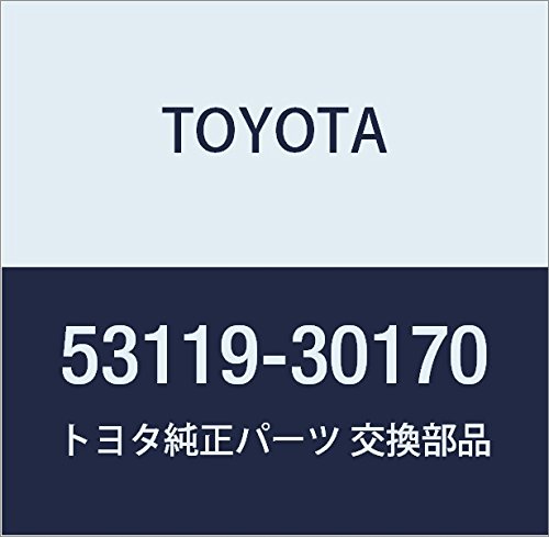 Toyoya 53119-30170 Protector Radiator