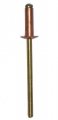 1 8 Diameter Copper Blind Rivet With Brass Mandrel Dome Head Grip Range 251- 375 Pack Of 50 