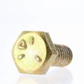 Polaris New Screw 