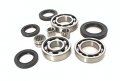 Bossbearing Rear Differential Bearings And Seals Kit Klf300c Bayou 4x4 1997 1998 1999 2000 