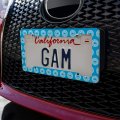 Green Lantern Blackest Night Blue Logo License Plate Tag Frame