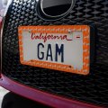 Cheeky Cheetahs License Plate Tag Frame