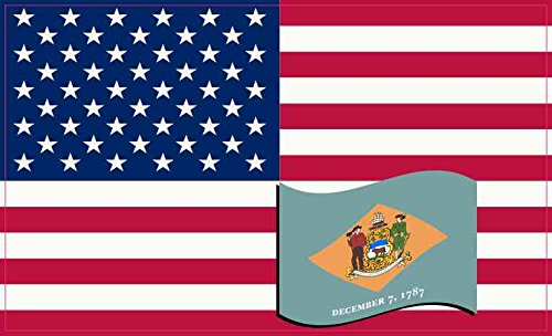 5in X 3in United States Of America And Delaware Flag Magnet Patriotic Magnets By Stickertalk