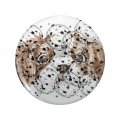 Dog Of Wisdom Double Sided Stainless Steel Keychain 3d Resin Encased Round Design 1 25 In Novelty Key Ring For Backpacks And 