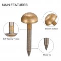 Uxcell Upholstery Tacks 10pcs 3 8 Inch Brass Furniture Nails Decorative Thumb Tack Push Pins For Diy Bronze