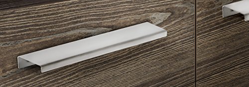 Richelieu Hardware Bp576980140 Traditional Forged Iron Pull-1079 Stainless Steel