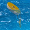 Graphics More Alabama Sate Primary Logo Floating Keychain Oval Foam Fishing Boat Buoy Key Float