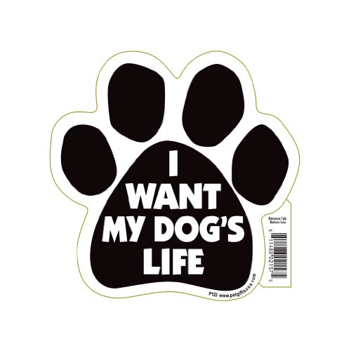 I Want My Dogs Life Pet Magnet