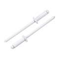 100pcs 1 8 X3 Aluminum Blind Rivets Grip And Steel Mandrel Dome Head Long Split For Metal Furniture Automotive White 