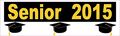 10in X 3in Senior Seniors 2015 Vinyl Bumper Magnets Magnetic Magnet By Stickertalk 