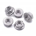 1 4-20 Serrated Flange Hex Lock Nuts 304 Stainless Steel 18-8 Hexagon Full Thread Bright Finish 50 Pcs 