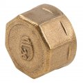 Hwmate Brass Cap Hex Pipe Fitting Connector G1 2a Female Straight Thread 50 Pack 