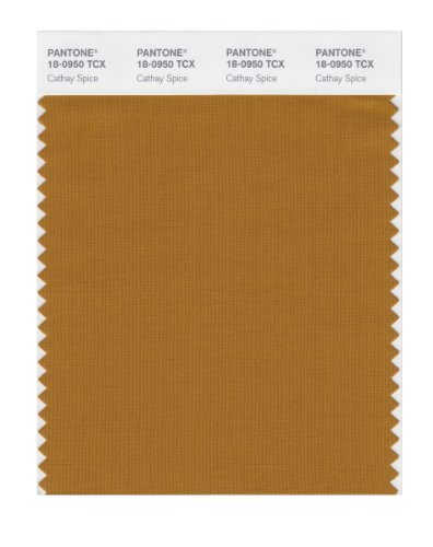 Pantone Smart 18-0950x Color Swatch Card Cathay Spice
