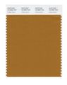 Pantone Smart 18-0950x Color Swatch Card Cathay Spice 