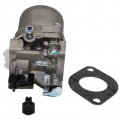Procompany Replacement Carburetor Compatible With Briggs Stratton 799728 286707-0140-01 286707-0140-02 286707-0141-01