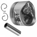 Caltric Engine Cylinder Piston Compatible With Honda Sportrax 250 Trx250ex 2x4 2003 2004 2005 2006 2007 2008
