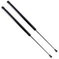 Hood Lift Supports Gas Springs For Lexus Rx350 And Rx450h 2010 2015 20 08 In Front Struts Shocks 