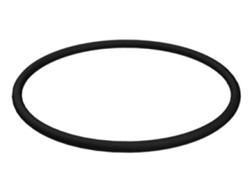 Cat 5p4889 Seal