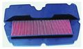 Hiflofiltro Hfa1901 Premium Oe Replacement Air Filter 