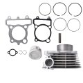 Piston Head Gasket Top End Kit Replacement For Timberwolf 250 Part Number 4bd-11310-01-00 Fits 1992 To 2000 Models