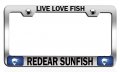 Live Love Fish Redear Sunfish Fishing Chrome Metal License Plate Frame Tag Holder I84 