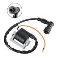 Topteng Ignition Coil Models Fit For Yamaha Fs1 1977-1989 Lb50 1978-1990 Lb80 1976-1981 Dt80 1981-1982 Dt125 1978-1991 Dt250