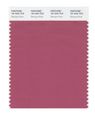 Pantone Smart 18-1634x Color Swatch Card Baroque Rose 