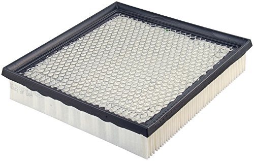 Fram Ca11170 Extra Guard Panel Air Filter