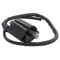 Applianpar Ignition Coil J38-82310 Epigc105 For Yamaha Gas Golf Cart Kart G2 G9