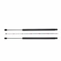A-premium Tailgate Rear Hatch Lift Supports Shock Struts For Chevrolet Equinox 2005-2007 Torrent 06-07 2-pc Set