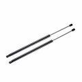 A-premium Tailgate Rear Hatch Lift Supports Shock Struts For Chevrolet Equinox 2005-2007 Torrent 06-07 2-pc Set