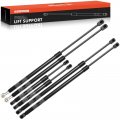 A-premium Hood Tailgate And Rear Window Lift Supports Shock Struts Replacement For Ford Expedition 1997-2002 6-pc Set