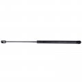 Ocpty Lift Supports Gas Springs Struts Shocks 4364 Pm2028 Strut Fits For Dodge Ram 1500 2500 3500 4500 5500 2002-2010