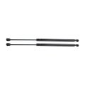 Trunk Lid Lift Supports For Pontiac Vibe 2003 2004 2005 2006 2007 2008 Pair 18 94 In Extended Length Replacement 4079 901738 