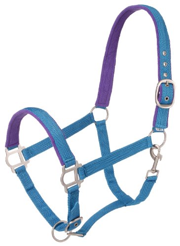 Tough 1 Nylon Padded Halter With Satin Hardware Turquoise Yearling