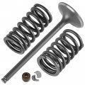 Caltric Intake Valve Kit Compatible With Honda Fourtrax 300 Trx300 2x4 Trx300fw 4x4 1988 1989-2000