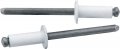 Allstar Performance All18114 White 1 4-3 8 In Grip Rivet 250 Pack 