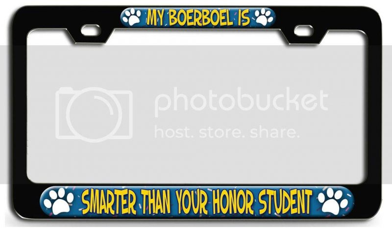 My Boerboel Is Smarter Than Your Honor Student 3d Metal License Plate Frame Universal Fit For Auto Suv And Truck Tag Holder 12