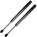 Trunk Lift Supports Strut Rods For Lexus Gs300 2005 2006 Gs350 2007 2011 Gs430 Gs450h Gs460 2008 6654 28089 Pm1048 