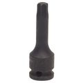 Westward 4lyz6 Impact Torx Bit Socket 3 8 In Dr T40 